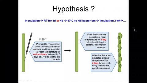 Agrobacterium: discovery and useful tool in plant molecular biology (中文課程)