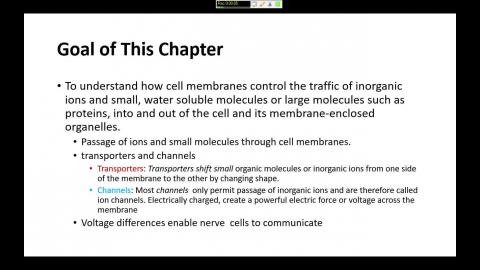 20230310 Cell Biology.mp4