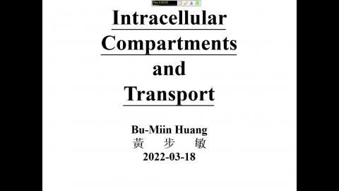 Cell Biology-Intracellular transport.mp4