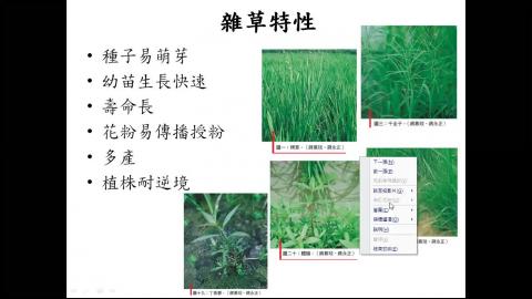 「基因改造食品的好與壞」