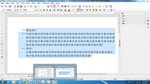(13)插入文字方塊