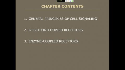 1120331 Cell Biology.mp4