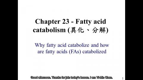 生化: ch 23 - 英文字幕版 250425