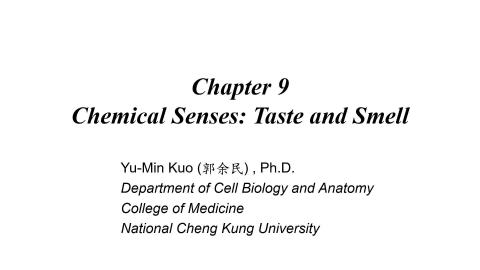 20230417 Neuroanatomy.mp4