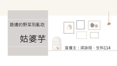 (56814)1112TIDL(課調老師:張雅雯教授)_生命系梁詠翔_112.5.8_姑婆芋
