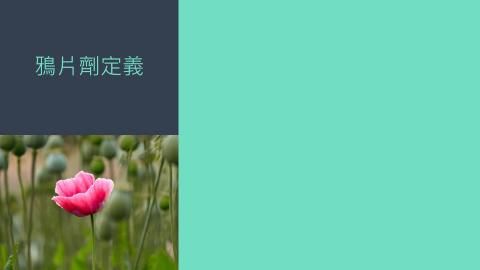 (56820)1112TIDL(課調老師:張雅雯教授)_心理系袁佳瑋_112.5.8_鴉片劑對於大腦的影響