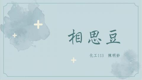 (56821)1112TIDL(課調老師:張雅雯教授)_化工系陳明妙_112.5.8_相思豆(雞母珠毒素)