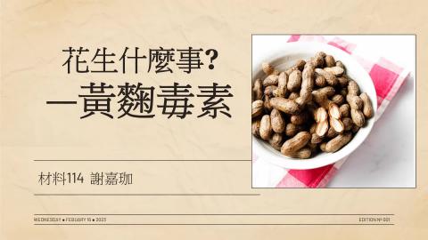 (56823)1112TIDL(課調老師:張雅雯教授)_材料系謝嘉珈_112.5.8_黃麴毒素