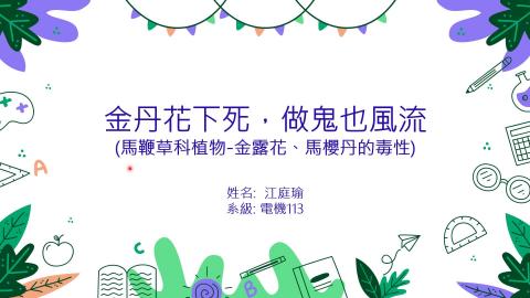 (56835)1112TIDL(課調老師:張雅雯教授)_電機系江庭瑜_112.5.15_馬櫻草科植物的毒性(馬纓丹，金露花)