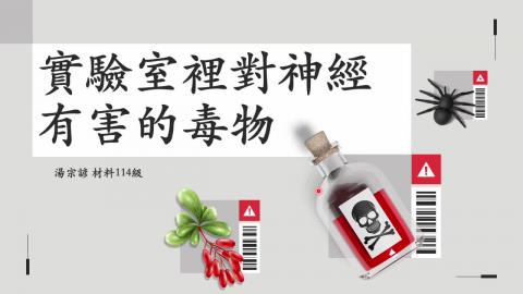 (56867)1112TIDL(課調老師:張雅雯教授)_材料系湯宗諺_112.5.22_實驗室裡對神經系統有害的毒物