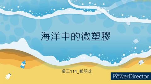 (56896)1112TIDL(課調老師:張雅雯教授)_環工系鄭羽芠_112.5.29_海洋中的微塑膠