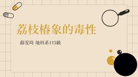 (56898)1112TIDL(課調老師:張雅雯教授)_地科系蘇雯琦_112.6.5_荔枝椿象的毒性