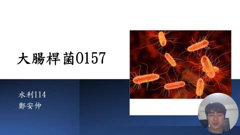 (56904)1112TIDL(課調老師:張雅雯教授)_水利系鄭安仲_112.6.5_ O157大腸桿菌
