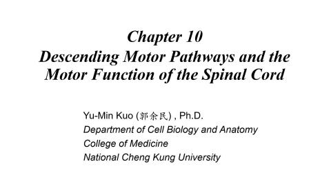 20230501 Neuroanatomy.mp4