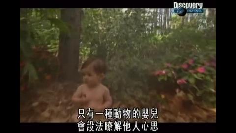 嬰兒的成長之感情的交流