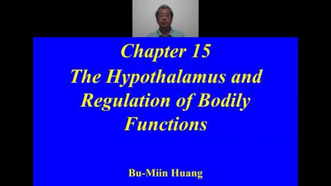 20220530 Neuroanatomy.mp4