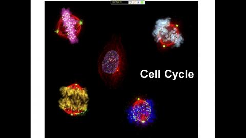 20230512 Cell Biology.mp4