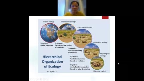 Primary & secondary production 3-1 2022