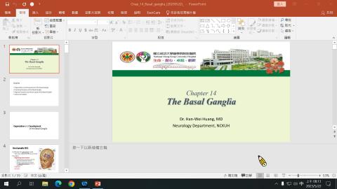 20230522 Neuroanatomy.mp4