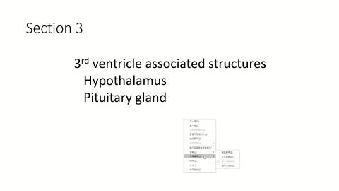 【Online】Neiroanatomy Lab 3.mp4