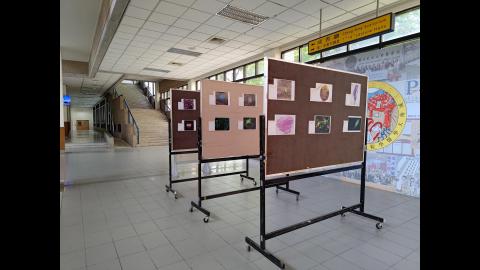 2023年 核心週系列活動-顯微攝影競賽人氣獎投票｜40週年院慶系列活動