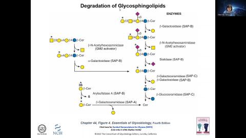 Glycans in Physiology and Disease IIB.mp4