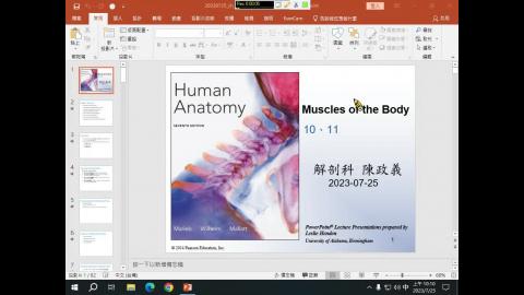20230725 肌肉系統.mp4