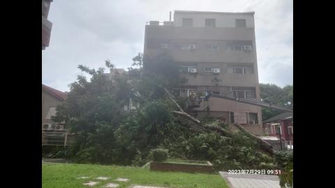 勝八舍樹倒毀損情形.mp4