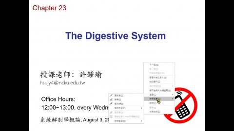 20230803 消化系統.mp4