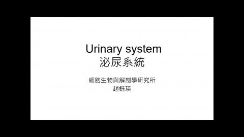 20230808 泌尿生殖系統.mp4