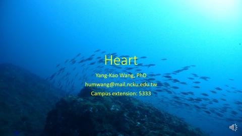 2-2. Heart-video.mp4