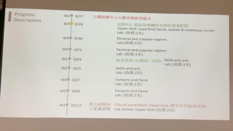 Superficial fascia and cutaneous nerve.mov