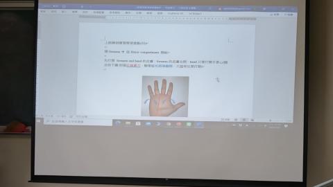 上肢解剖指引四 Forearm & Hand