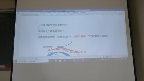 上肢解剖指引二-1.MP4