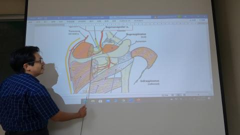 上肢解剖指引二-2.MP4