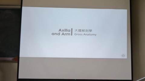 Axilla and arm-1.MP4