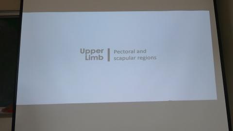 Pectoral and scapular-1.MP4