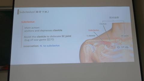 Pectoral and scapular-3.MP4