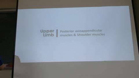 Pectoral and scapular-5.MP4