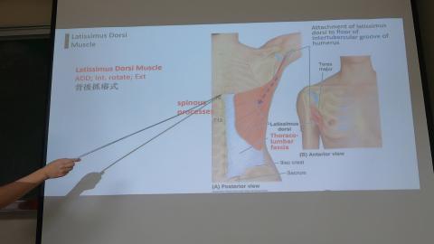 Pectoral and scapular-6.MP4