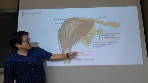 Pectoral and scapular-8.MP4
