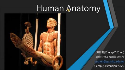 20230908 小大體 Introduction.mp4