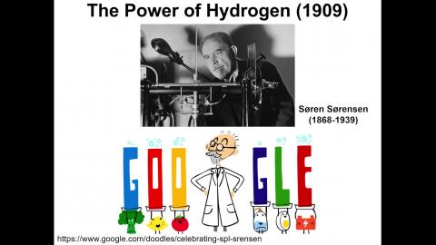 09112023 Chapter 7 Acid and Bases