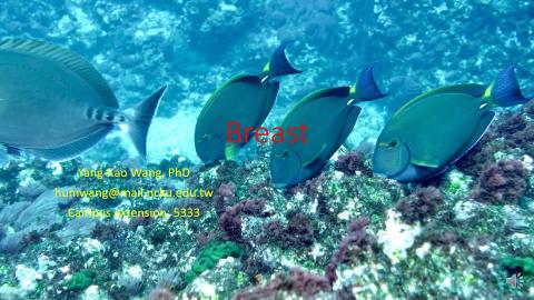 2-1-1. Breast and thoracic cavity.mp4