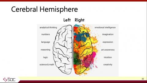 ICS Week4 : Brain Anatomy II.mov
