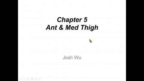 Ant.& Med. Thigh.mp4