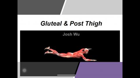 Gluteal, Post. Thigh & Popliteal fossa.mp4