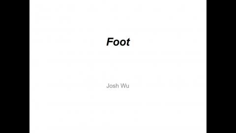 Foot