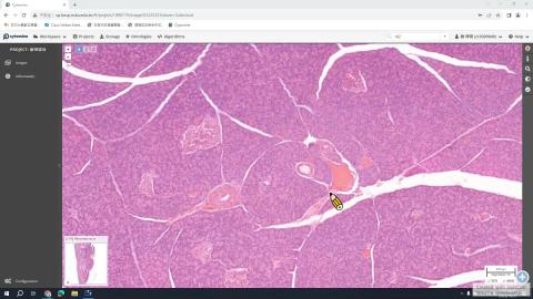 20231031 Histology Demo－Digestive III.mp4