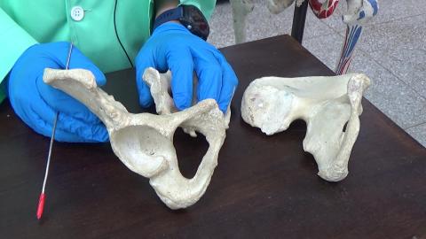 1107 下肢骨學 demo.MP4